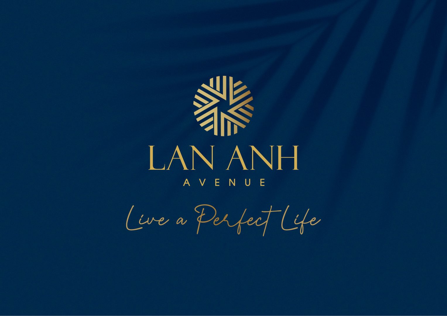 | Chuyên Đất Nền Sân Bay Long Thành