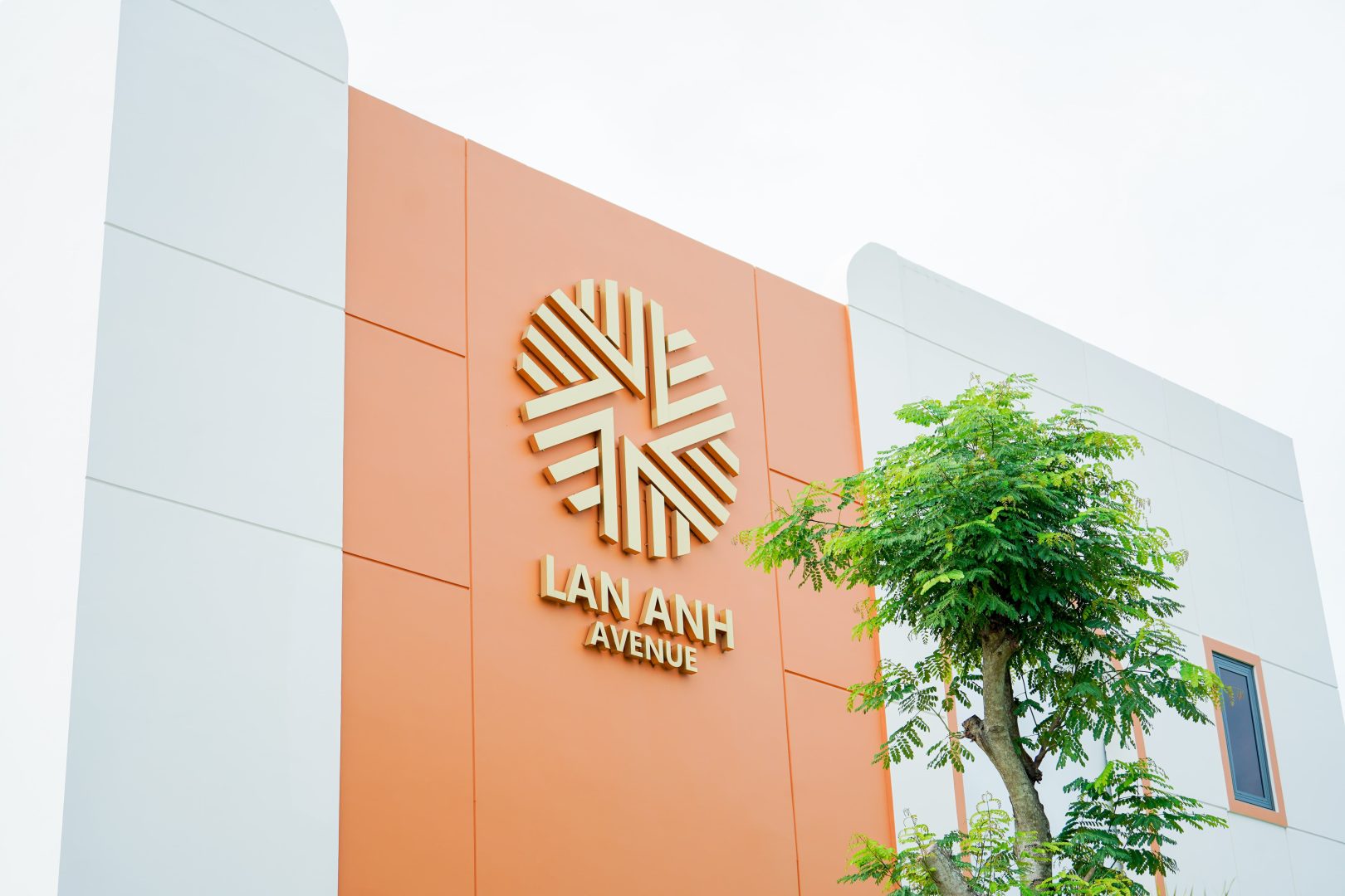 | Chuyên Đất Nền Sân Bay Long Thành